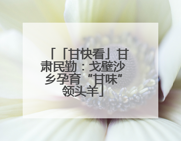 「甘快看」甘肃民勤：戈壁沙乡孕育“甘味”领头羊