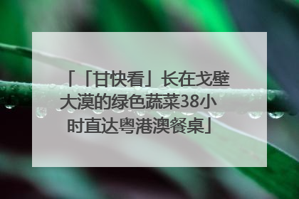 「甘快看」长在戈壁大漠的绿色蔬菜38小时直达粤港澳餐桌