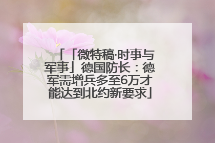 「微特稿·时事与军事」德国防长：德军需增兵多至6万才能达到北约新要求