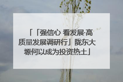 「强信心 看发展·高质量发展调研行」陇东大塬何以成为投资热土