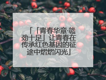 「青春华章·赣劲十足」让青春在传承红色基因的征途中熠熠闪光