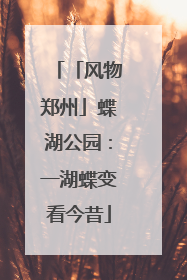 「风物郑州」蝶湖公园：一湖蝶变看今昔