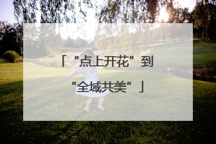 “点上开花”到“全域共美”