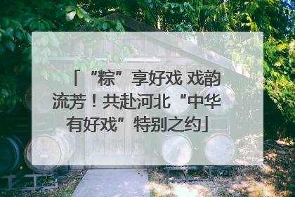 “粽”享好戏 戏韵流芳！共赴河北“中华有好戏”特别之约