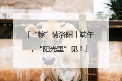 “粽”情洛阳丨端午，“阳光里”见！