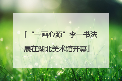 “一画心源”李一书法展在湖北美术馆开幕