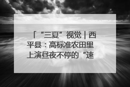 “三夏”视觉｜西平县：高标准农田里上演昼夜不停的“速度与激情”