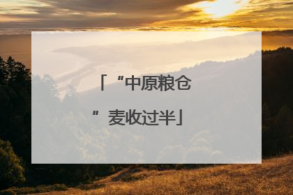 “中原粮仓”麦收过半