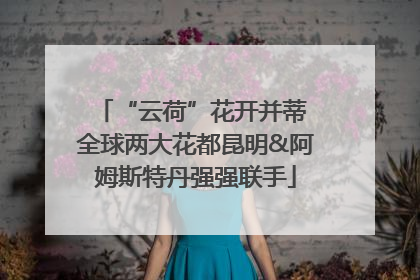 “云荷”花开并蒂 全球两大花都昆明&阿姆斯特丹强强联手