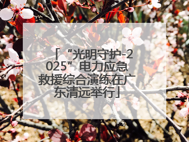 “光明守护-2025”电力应急救援综合演练在广东清远举行