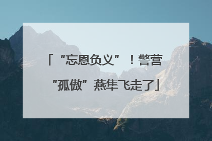 “忘恩负义”！警营“孤傲”燕隼飞走了