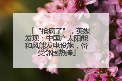 “抢疯了”，英媒发现：中国产太阳能和风能发电设施，备受邻国热捧
