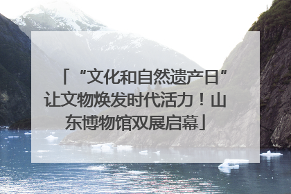 “文化和自然遗产日”让文物焕发时代活力！山东博物馆双展启幕