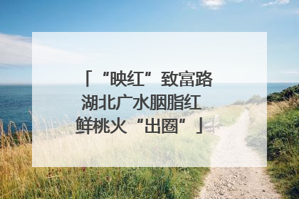 “映红”致富路 湖北广水胭脂红鲜桃火“出圈”