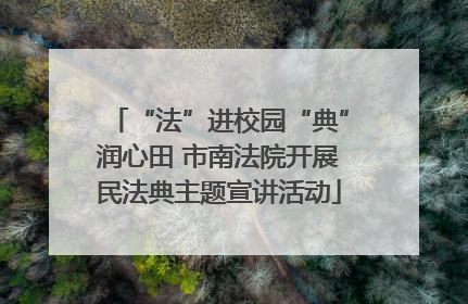“法”进校园“典”润心田 市南法院开展民法典主题宣讲活动