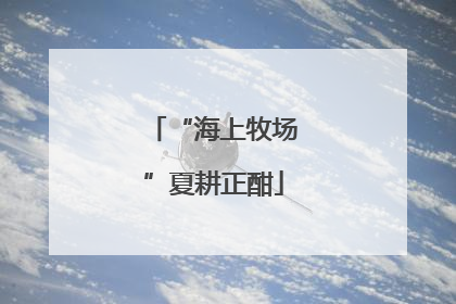 “海上牧场”夏耕正酣
