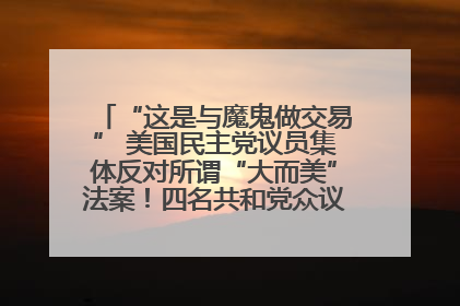 “这是与魔鬼做交易” 美国民主党议员集体反对所谓“大而美”法案！四名共和党众议员投反对票