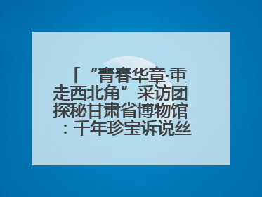 “青春华章·重走西北角”采访团探秘甘肃省博物馆：千年珍宝诉说丝路辉煌