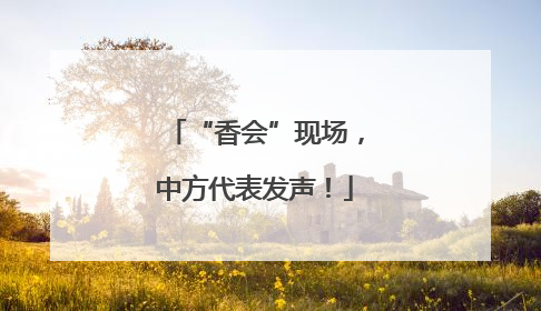 “香会”现场，中方代表发声！