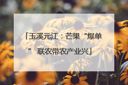 玉溪元江：芒果“爆单” 联农带农产业兴