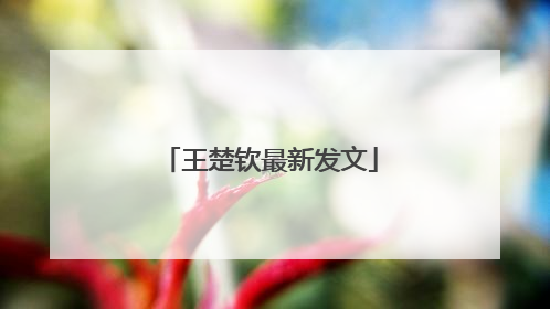 王楚钦最新发文
