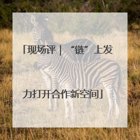 现场评｜“链”上发力打开合作新空间