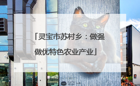 灵宝市苏村乡：做强做优特色农业产业