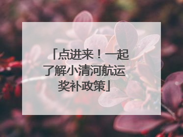 点进来！一起了解小清河航运奖补政策