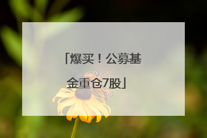 爆买！公募基金重仓7股