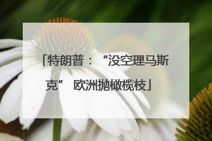 特朗普：“没空理马斯克” 欧洲抛橄榄枝