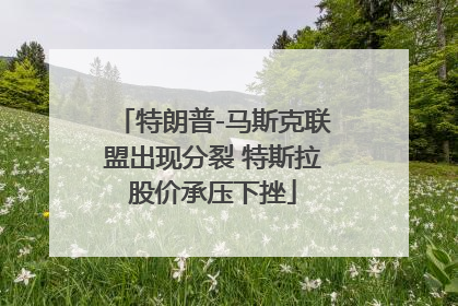 特朗普-马斯克联盟出现分裂 特斯拉股价承压下挫