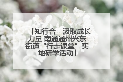 知行合一汲取成长力量 南通通州兴东街道“行走课堂”实地研学活动