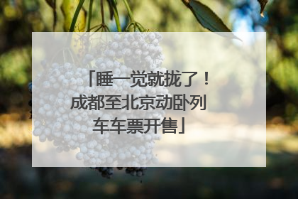 睡一觉就拢了！成都至北京动卧列车车票开售