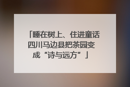 睡在树上、住进童话 四川马边县把茶园变成“诗与远方”