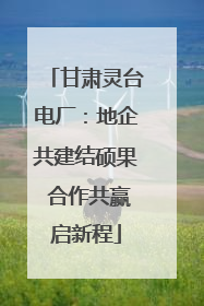 甘肃灵台电厂：地企共建结硕果 合作共赢启新程