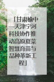 甘肃榆中—天津宁河科技协作推动高原夏菜智慧育苗与品种革新工程