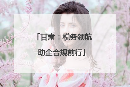 甘肃：税务领航 助企合规前行