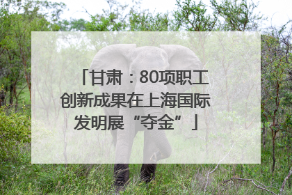 甘肃：80项职工创新成果在上海国际发明展“夺金”