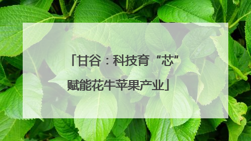 甘谷：科技育“芯”赋能花牛苹果产业