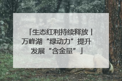 生态红利持续释放丨万峰湖“绿动力”提升发展“含金量”