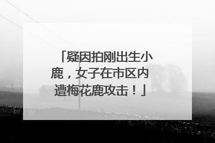 疑因拍刚出生小鹿，女子在市区内遭梅花鹿攻击！
