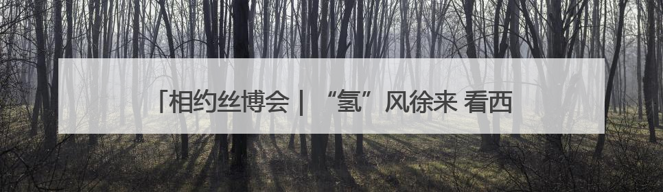 相约丝博会｜“氢”风徐来 看西咸新区泾河新城氢能产业聚链成势