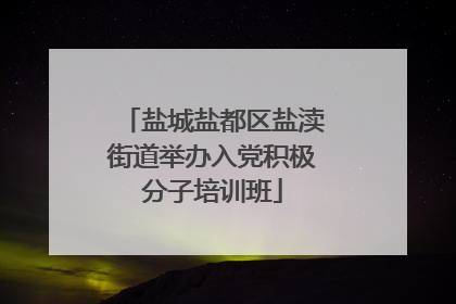 盐城盐都区盐渎街道举办入党积极分子培训班