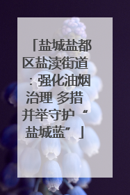 盐城盐都区盐渎街道：强化油烟治理 多措并举守护“盐城蓝”