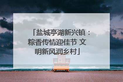盐城亭湖新兴镇：粽香传情迎佳节 文明新风润乡村