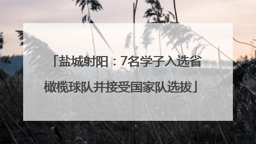 盐城射阳：7名学子入选省橄榄球队并接受国家队选拔