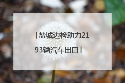 盐城边检助力2193辆汽车出口