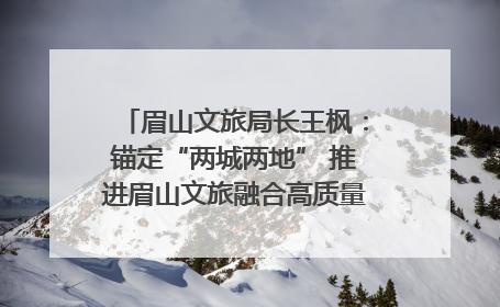 眉山文旅局长王枫：锚定“两城两地” 推进眉山文旅融合高质量发展｜文旅局长说