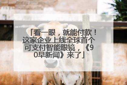 看一眼，就能付款！这家企业上线全球首个可支付智能眼镜，《90早新闻》来了
