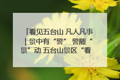 看见五台山 凡人凡事｜景中有“警” 警随“景”动 五台山景区“看得见”的平安守护